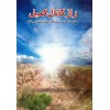 راز کانال کمیل